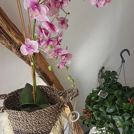 Le Golfe Bleu Cavalaire-sur-Mer