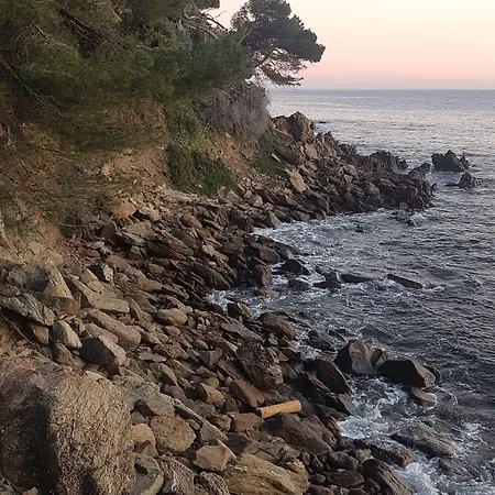 酒店 Le Golfe Bleu 2*