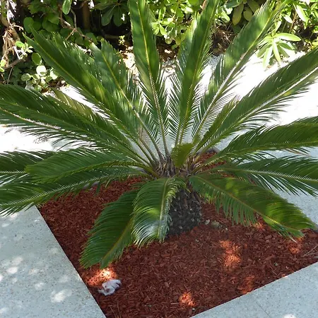 Hotel Le Golfe Bleu Cavalaire-sur-Mer