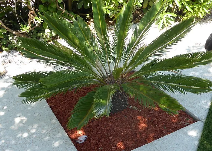 Hotel Le Golfe Bleu Cavalaire-sur-Mer